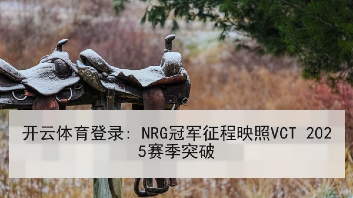 开云体育登录: NRG冠军征程映照VCT 2025赛季突破